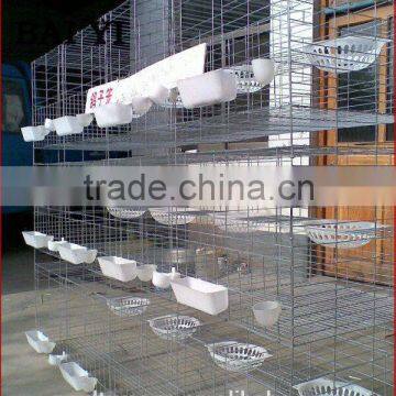 Export Standard Pigeon Cage And Pigeon Cage Transport