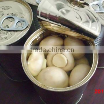 Cultivated White Button Mushroom Canned Mushroom