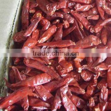 red dried chili
