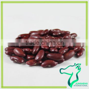 All Types Of Hot Sale Dark Red Kidney Beans