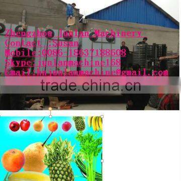 food drying machine/paddy dryer machine