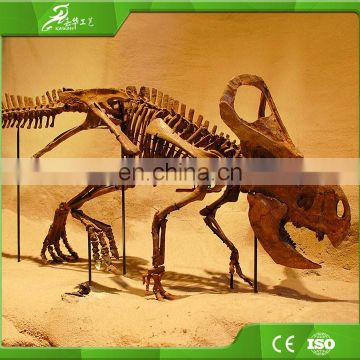 Attractive dinosaur skeleton model made by China manufactory
