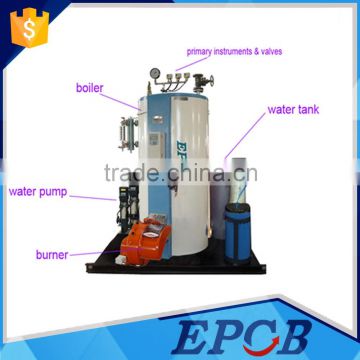 Vertical boiler CNG Compress Natural Gas Fired Steam Boiler with best price