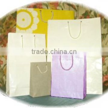 Colored Eyelet-Rope Handle Paper Bags CERHPB-0005