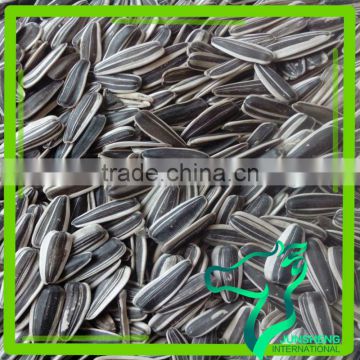 2016 Crop China Sunflower Seeds 363 On Sale 240-250 Pcs/100g