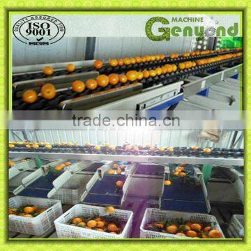 automatically conveying peach weight grading machine