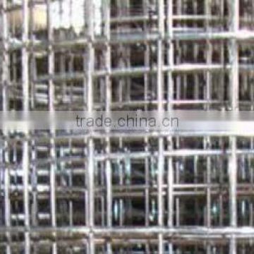Elec or Hot dipped Galvanized Square Wire Mesh