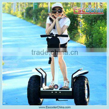 Escooter OEM huge business opportunity green powerful high speed electric scooter for sale