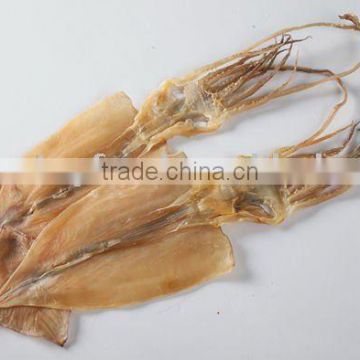dried squid seafood