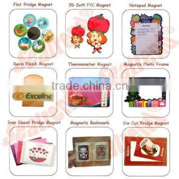 Factory Direct Sale Diverse Fridge Magnets