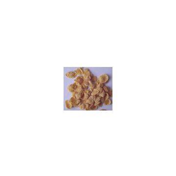 Soluble Corn flakes processing line