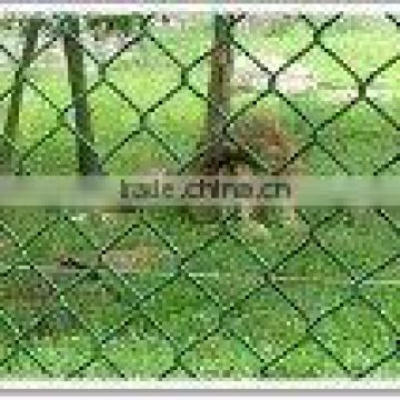60x60mm pvc coated chain link fence