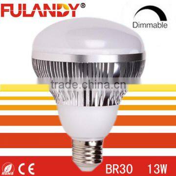 Wholesale 15W led bulbs br30 for only 8.8 USD Fuladny