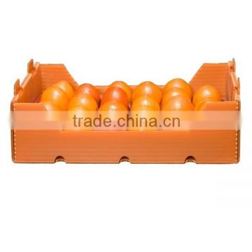 Collapsible Food Packaging Corflute Plastic box