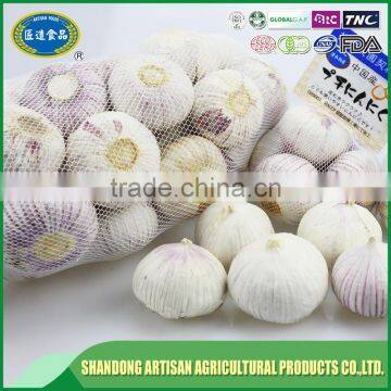 Low price new crop solo garlic for wholesales