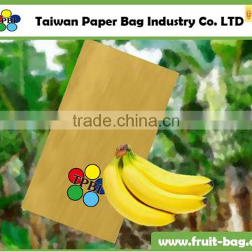 TPBI Taiwan high quality waterproof paper bag growing paper bag banana paper bag ba