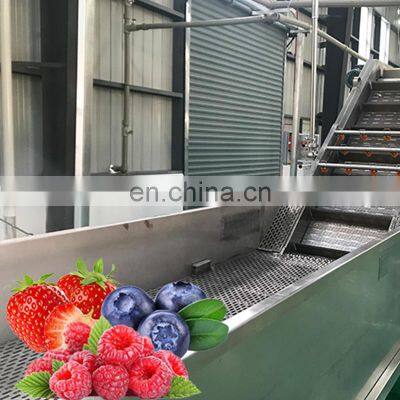 Fast speed full automatic fruit berry juice filling production line