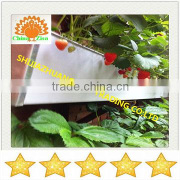 Stepwise cultivation strawberry greenhouse growing tray