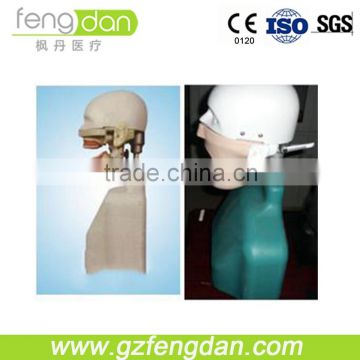 Fengdan updated hot selling dental phantom head for teaching