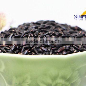 High quality black rice from China