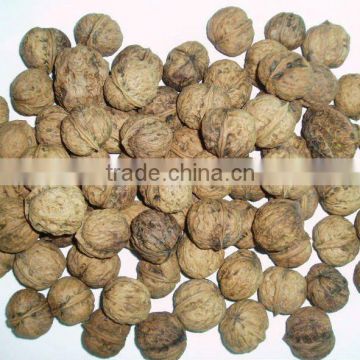 wholesale walnuts