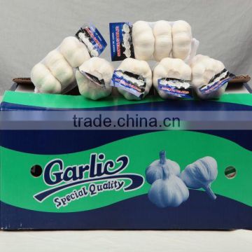 Chinese fresh normal white garlic with carton