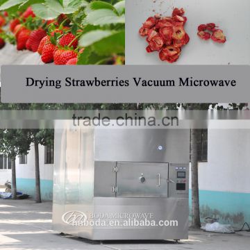 Dehydrator Type and New Condition food vacuum drying machine