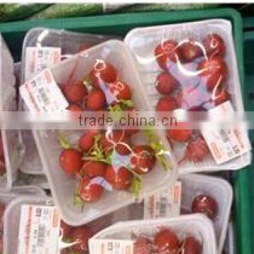 good-sale fruit and vegetable fresh packing tray