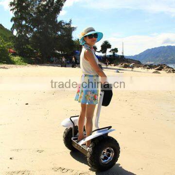 electric stand up scooter off road model ES OI, balancing electric chariot x2 for sale
