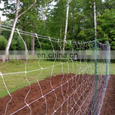 White Polypropylene Net Garden Plant Trellis Support Netting