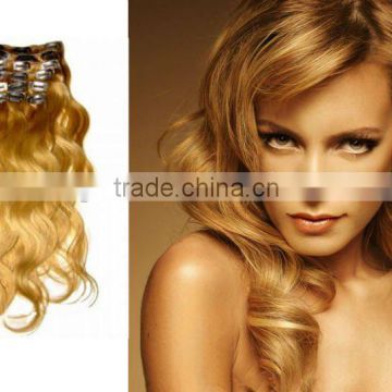 Wholesale Price Body Wave Remy Hair Clip Hair Extension