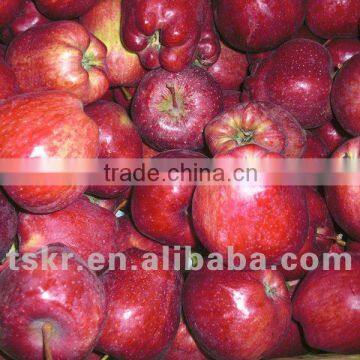 fruit market prices apple