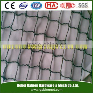 High Quality Cheap Price Anti-bird Net / Agricultural Anti Bird Net