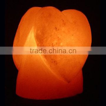Himalayan Double Heart Shape Salt Lamp