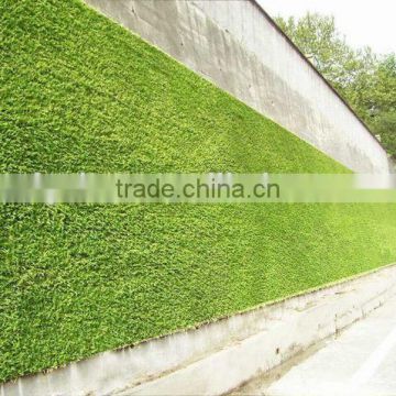 green wall with leaves/flowers/grass for decor