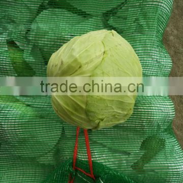 china fresh cabbage packaging bag