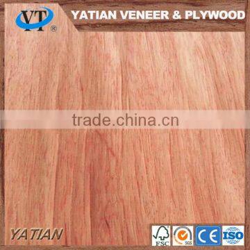 high quality 0.28mm bintangor wood face veneer for fancy plywood