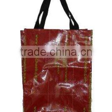 PP Non woven Shopping bag---(SQ-014)