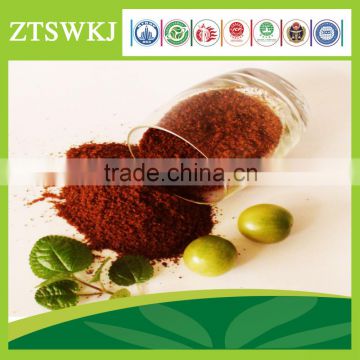 Quickly and high efficiency plant growth promoter Microorganism Bacterium Agent biological foliar fertilizer