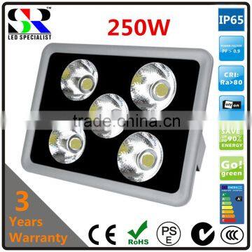 alibaba competitive hot sell 250W most powerful cob led flood light sinozoc