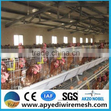 Layer chicken cage, A type, 3 tiers,