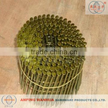 High Quality Coil Nails (ISO 9001 Manufacturer)