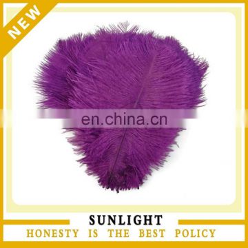 Decorative Colorful Ostrich Feather for Sale