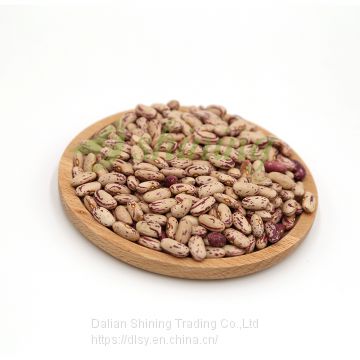 China light speckled sugar wholesale price of pinto beans