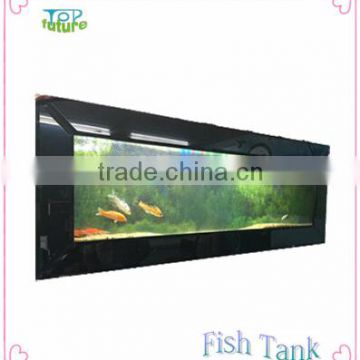 wall hanging aquarium fish tank