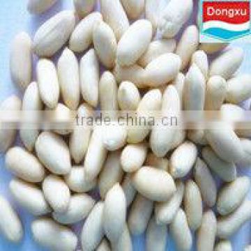 organic blanched peanut kernels 35/39