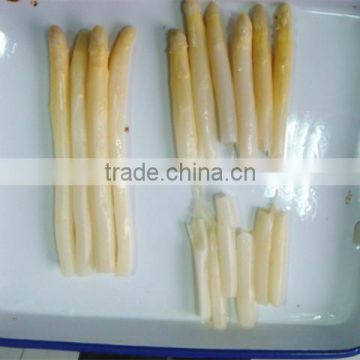 high quality canned white asparagus hot sale in world