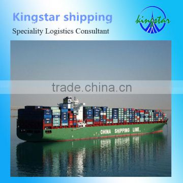 Professional north Africa shipping from Shenzhen to Skikda ---Sulin