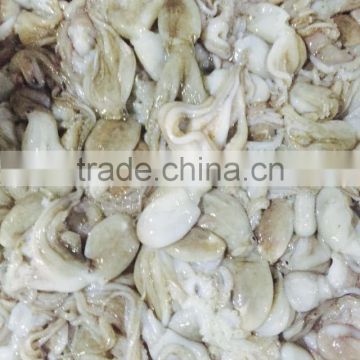 Frozen baby octopus vulgaris whole sale sea food from china exporter