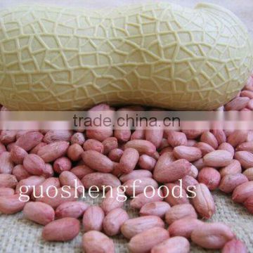 new crop Chinese peanuts kernels